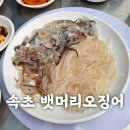 속초 뱃머리야식 - 속초 오징어난전 내돈내산 후기