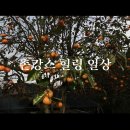 [시골집들이] 인심좋은 시골집/ 가마솥 삼겹살 후기 / 가마솥 삼겹살, 화덕 초벌구이, 땔감체험, 고양이...