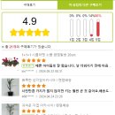 단골플라워가든