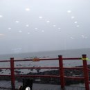 해안반점 이미지