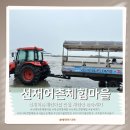 선재도 갯벌체험 추천! 8살 아이와 동죽 캐기, 선재어촌체험마을 목섬 갯벌체험장 내돈내산 후기