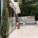 염창역 3번출구 | 염창역 브런치 카페 추천 포코아 목동 브런치 숲뷰 영국식 브런치