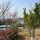 산들 강아지 | 파주 명봉산 등산코스 및 강아지와 함께 플로깅