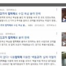 돈차돌 이미지