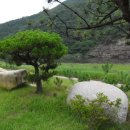 평대농장 이미지