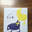 병아리 상점 | 일본 여행 기념품 추천 하카타 명과 히요코 병아리 만쥬 후기