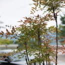 스무숲마트 이미지