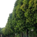 곤충생태관_4 이미지