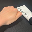 라비본 | <환절기피부관리> 민감피부가 고른 라비어스 유산균크림 내돈내산 리뷰