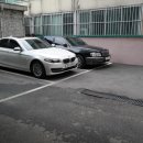 퍼피마마 이미지