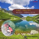 박세진 바니걸즈 [사랑은 하나 / 사랑하는 친구야] (1974) 이미지