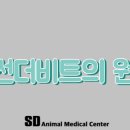 왕십리동물병원 이미지