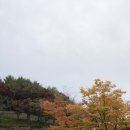 호남오페라단 정기공연 나비부인 | #호남오페라단 #정기공연 #푸치니오페라 #나비부인