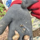 솔빛유치원 이미지