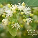 심*훈