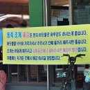 영광세탁 | 5살 아이와 함께한 만돌갯벌체험학습장 후기