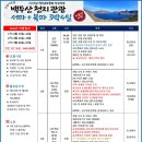 천지국제여행사