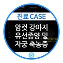 서울동물의료센터 이미지
