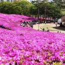 중앙로↔산본역 이미지
