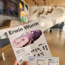 수원시립미술관 | [수원시립미술관] 에르빈 부름 전시 후기 — 조금 이상해서 더 기억에 남았던 현대미술 전시