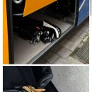 달수네에서 지적한 신태용 골프채 사진 유포가 존나 악의적인 이유 이미지