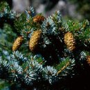 생태와 기후변화이야기 이미지