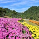 내미로리 이미지