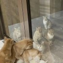 동물들의세상 이미지