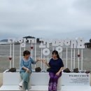로타리 민박 | .♡.신안 박지도퍼퓰섬 ~ 천사대교~ 자은도~할미도~구리도~분계해수욕장~여인송~세자매가 1박2일로 보라...