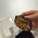 강남-124 | 카페포모 두바이 쫀득 쿠키 맛집 두쫀쿠 후기 가격