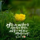 (주) 성도 이미지