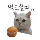 냠냠 인하대본점 네이버블로그