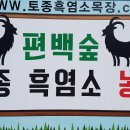 도내흑염소 이미지