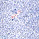 간큰갈비성서이곡점 | [2025 소수빈 연말 콘서트 〈So Soo with〉 공연 후기] : +깜짝 이벤트까지 ..연말 종합세트 선물 받기❤️