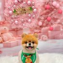 올리스 일산백석점 이미지