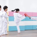 동아대 진 태권도 이미지