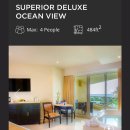 월풀크리닝 이미지