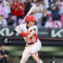 윤영31