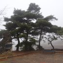 녹색마을길 이미지