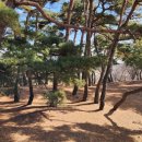 목계숲 2 이미지