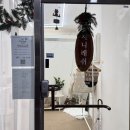 [경기/일산] 라페스타 속눈썹펌 전문점 ‘채니래쉬’ 블랙틴팅펌 후기