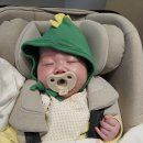 카플러스 | 휴대용 유모차 &lt;에이블 유모카 플러스 트라이크 &gt; 후기 (패브릭 베이지 색상)