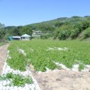 옥동교차로 부근 이미지