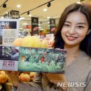 산지뚝심 이미지