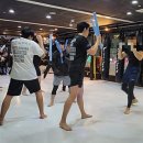 워리어스멀티짐 네이버블로그