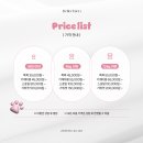 벨르시앙 이미지