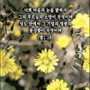 에베소서 1장 15절 ~ 23절 로마 옥중에서 바울의 주님을 향한 간절히 간구하는 기도... 이미지