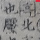 양*유