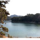 하포펜션 이미지