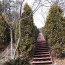 호산농원 이미지